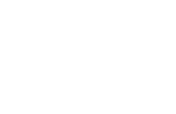 Portugal Indie Film Festival — Победитель 2025