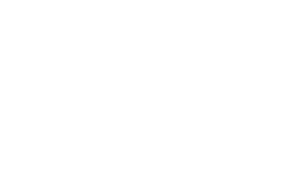 Tsiolkovsky Space Fest — Победитель 2025